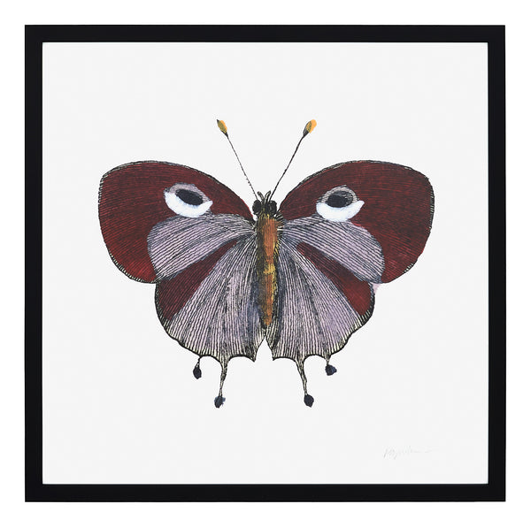 Papillon I