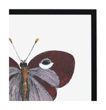 Papillon I