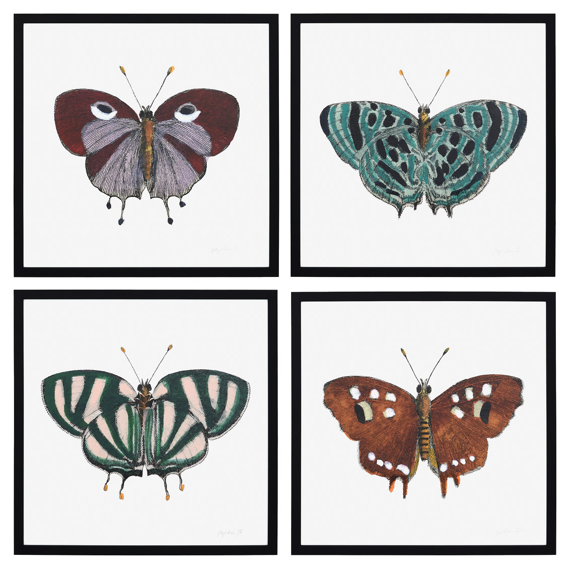Papillon II