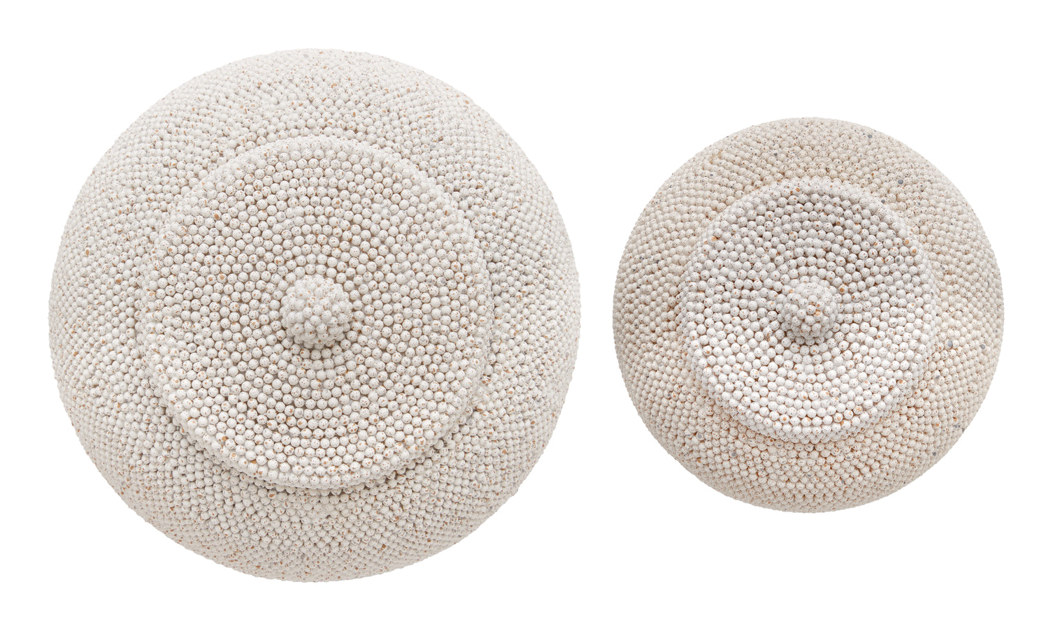 Imani Jars