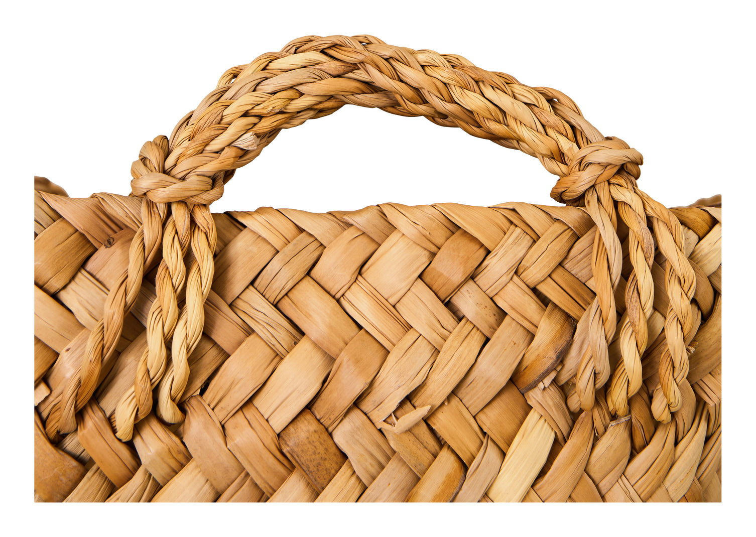 Diego Baskets