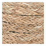 Seagrass Bottles