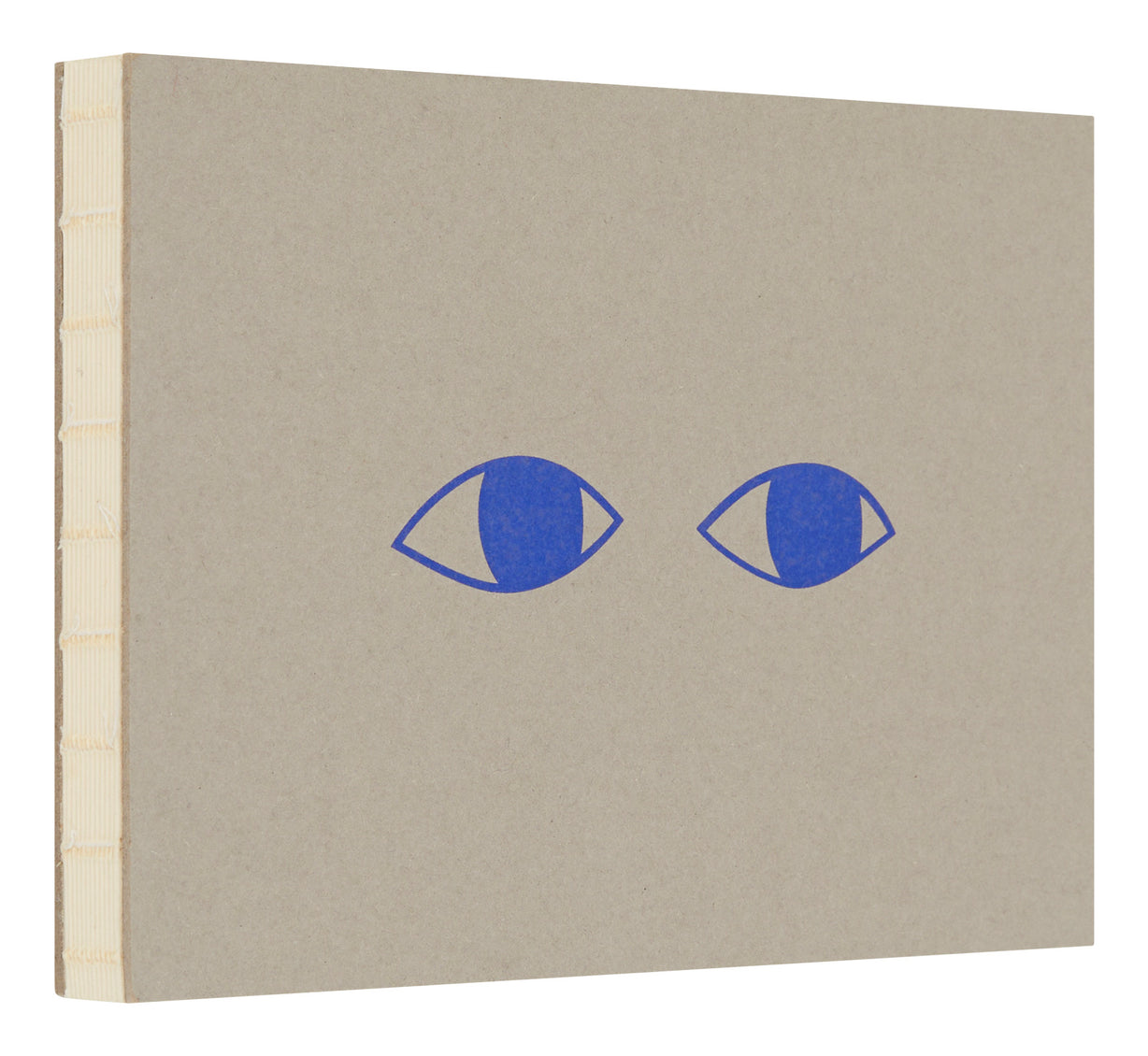 Eyes Sketchbook