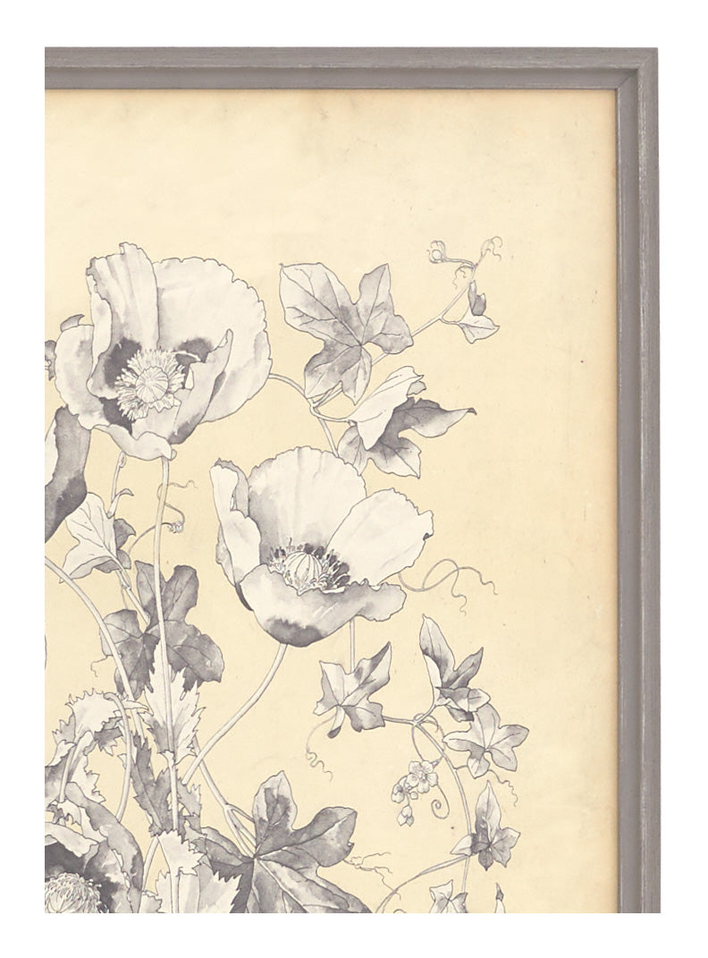Antique Botanical Study