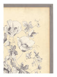 Antique Botanical Study