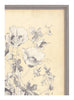 Antique Botanical Study