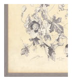 Antique Botanical Study