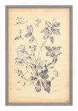 Antique Botanical Study