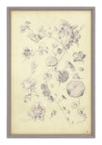 Antique Botanical Study