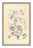 Antique Botanical Study