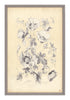 Antique Botanical Study