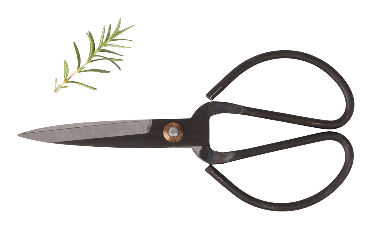 Atelier Scissors