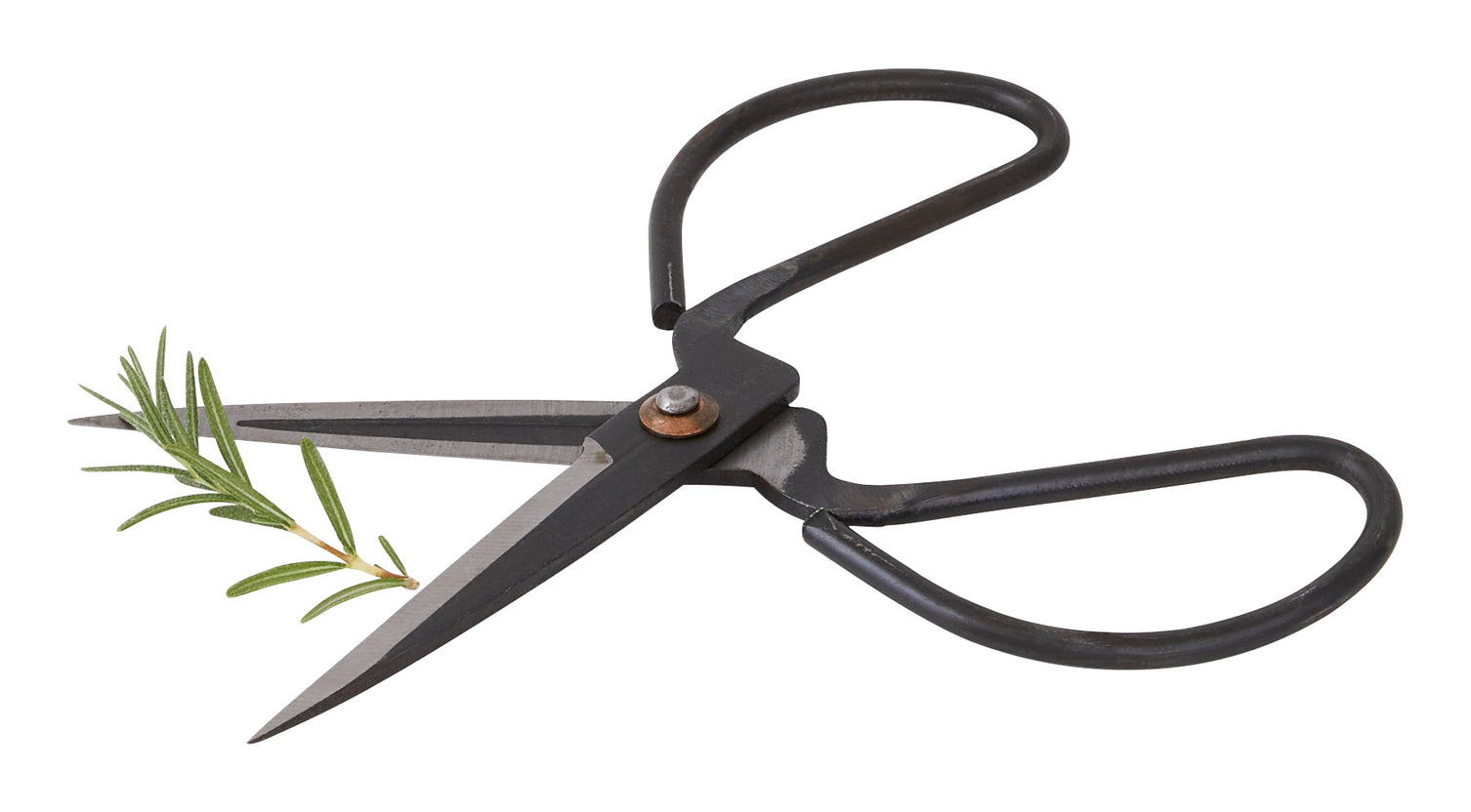 Atelier Scissors