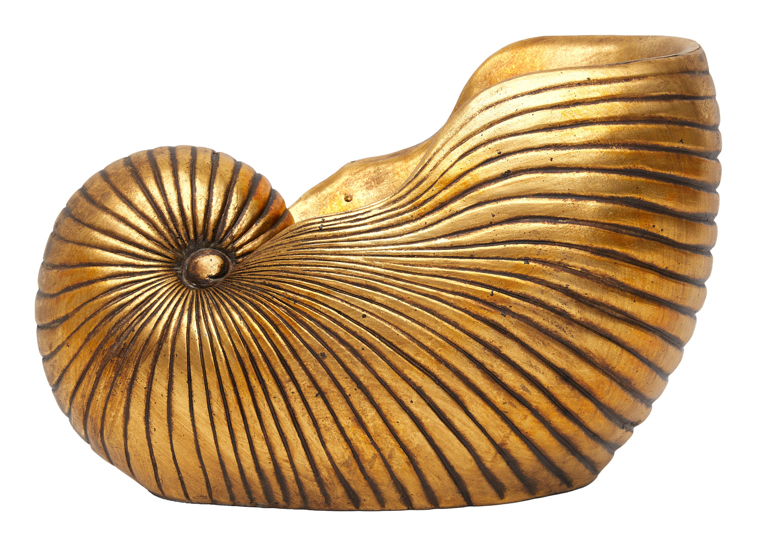 Nautilus Vessel