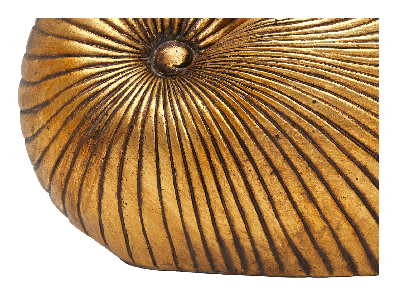 Nautilus Vessel