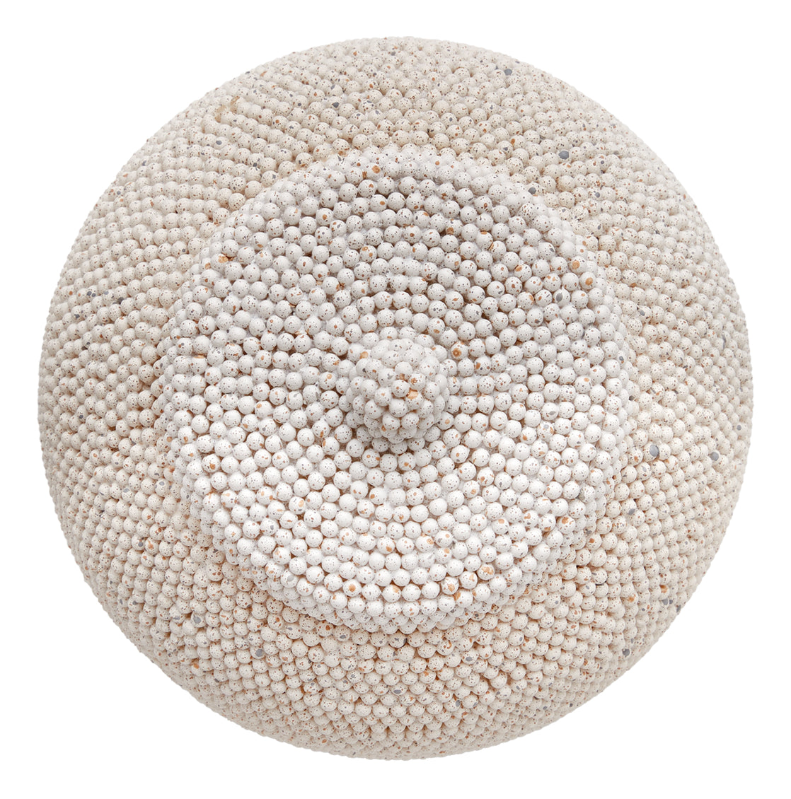 Imani Jars
