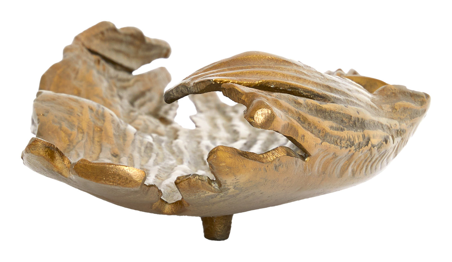 Thicket Tray