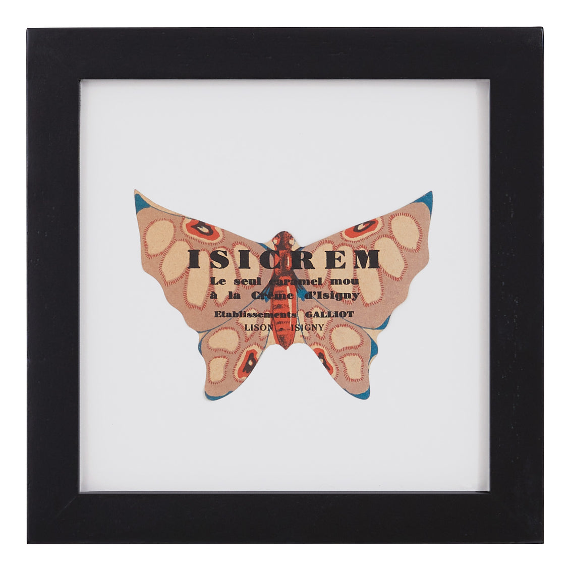 Vintage Blue Butterfly
