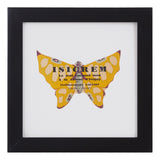 Vintage Yellow Butterfly