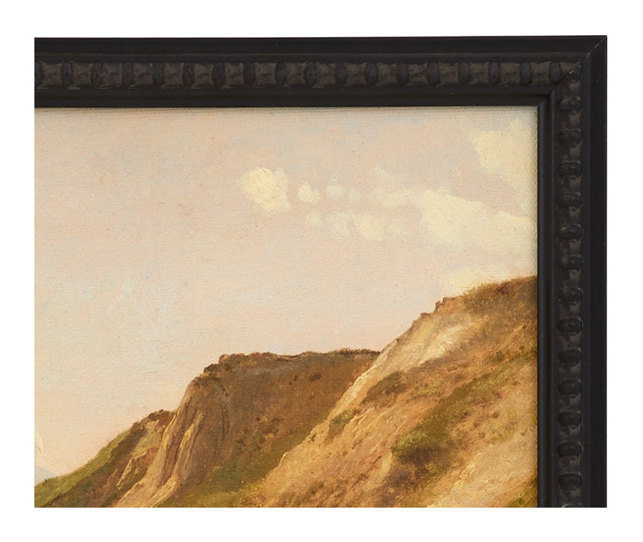 Seaboard Landscape