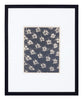 Vintage Blossfeldt Print - VI