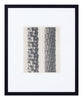 Vintage Blossfeldt Print - XII