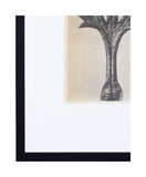 Vintage Blossfeldt Print - XVII