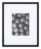 Vintage Blossfeldt Print - XXI