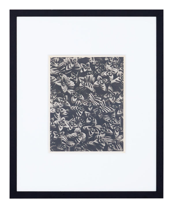 Vintage Blossfeldt Print - XXII