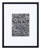 Vintage Blossfeldt Print - XXII
