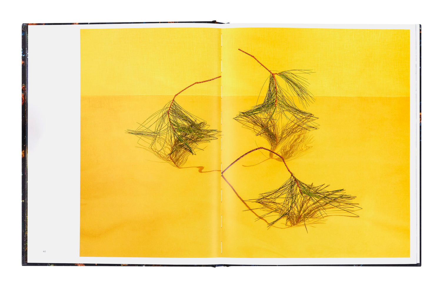 Emily Thompson Flowers