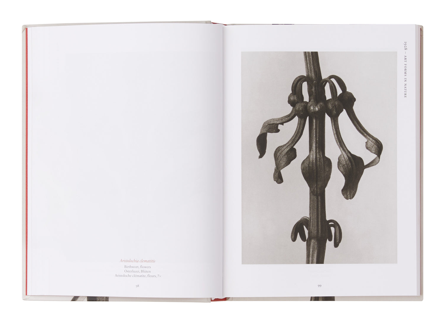 Karl Blossfeldt: The Complete Published Work