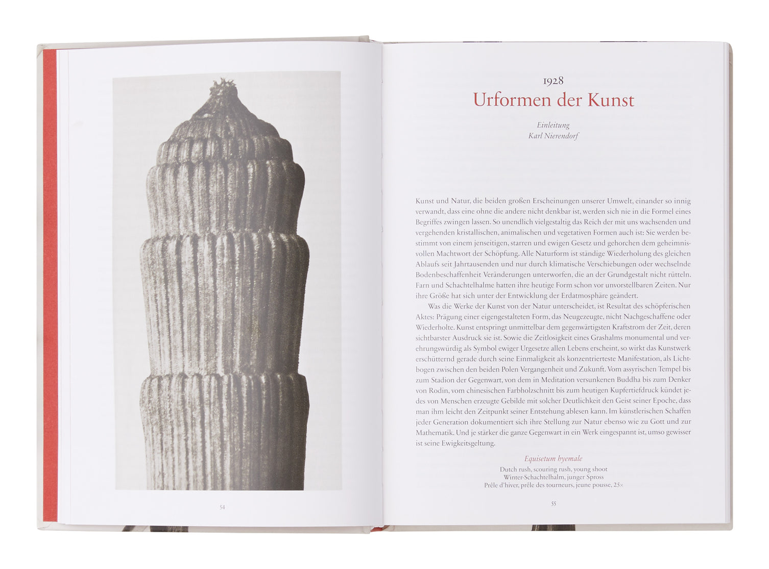 Karl Blossfeldt: The Complete Published Work