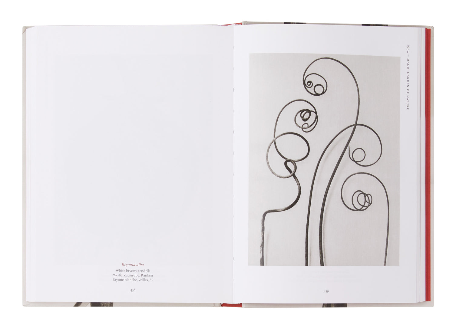 Karl Blossfeldt: The Complete Published Work