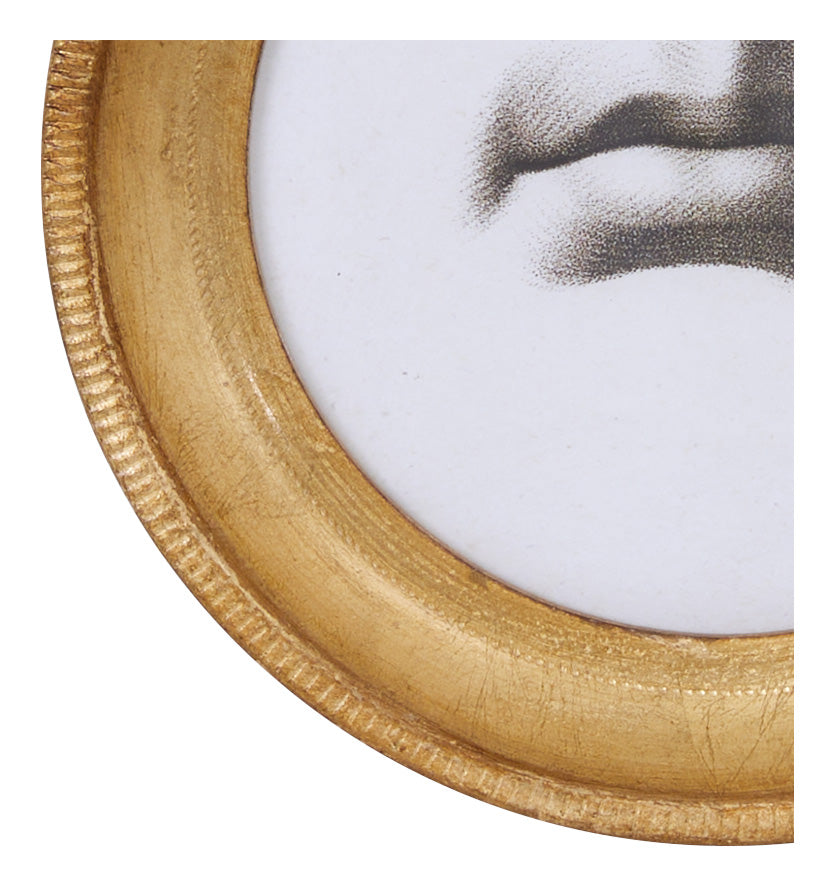 Les Levres Study