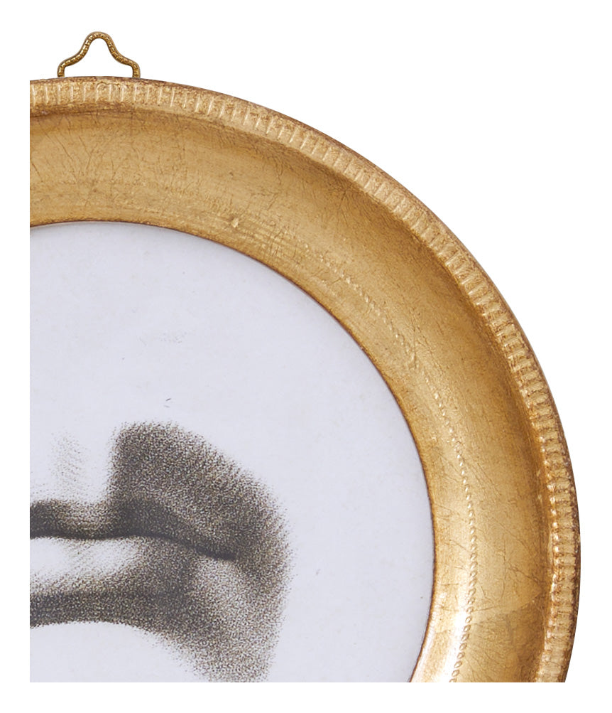 Les Levres Study