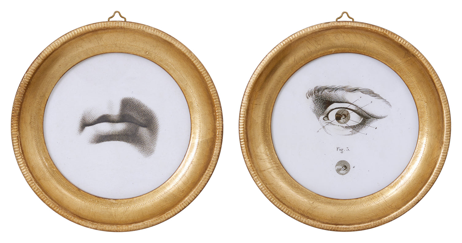 L'Oeil Study
