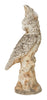 Vintage Stone Parrot Statue II