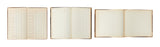 Antique Ledger