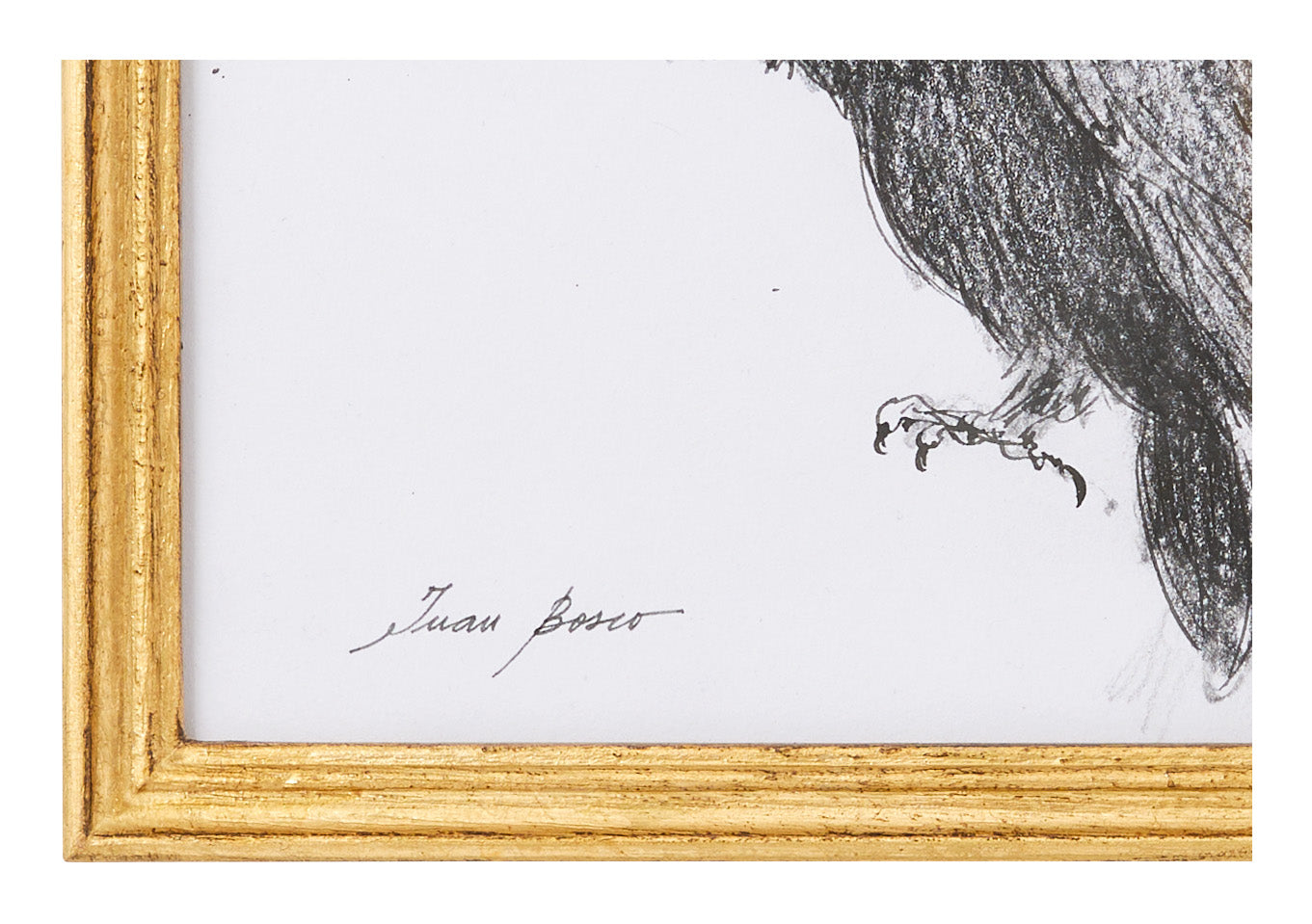 Original Crow Art