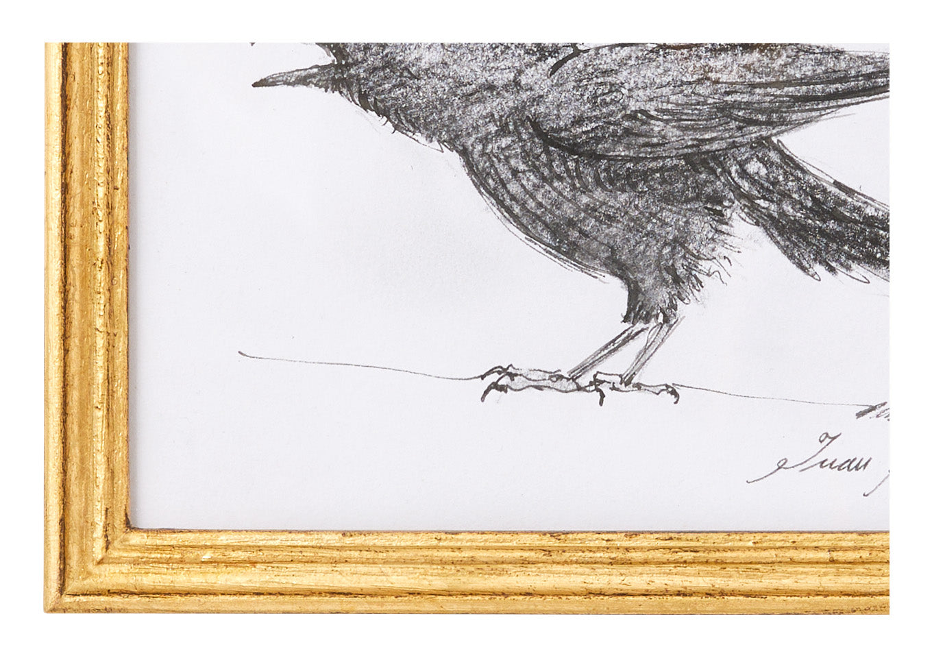 Original Crow Art