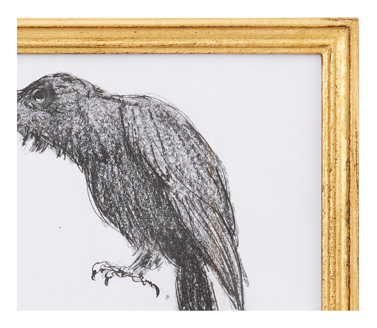 Original Crow Art