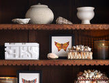 Imani Jars