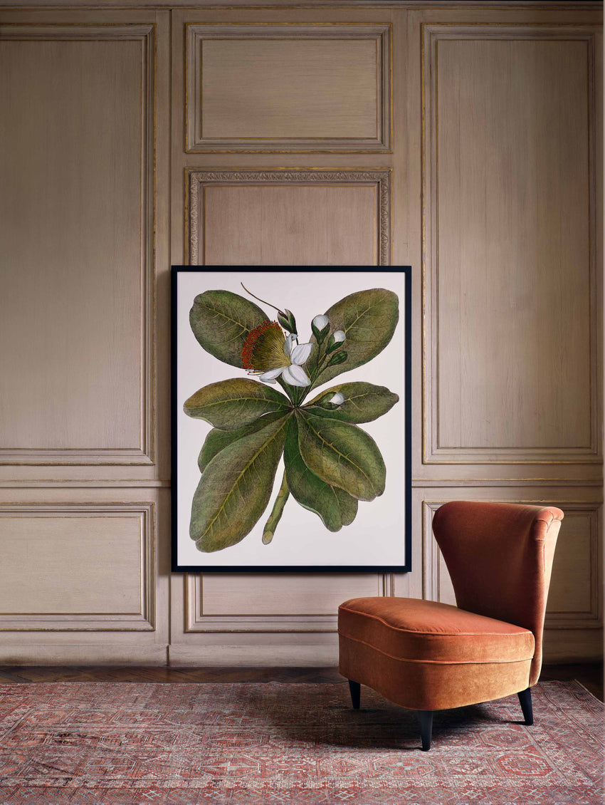 Botanique Art
