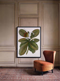 Botanique Art