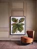 Botanique Art