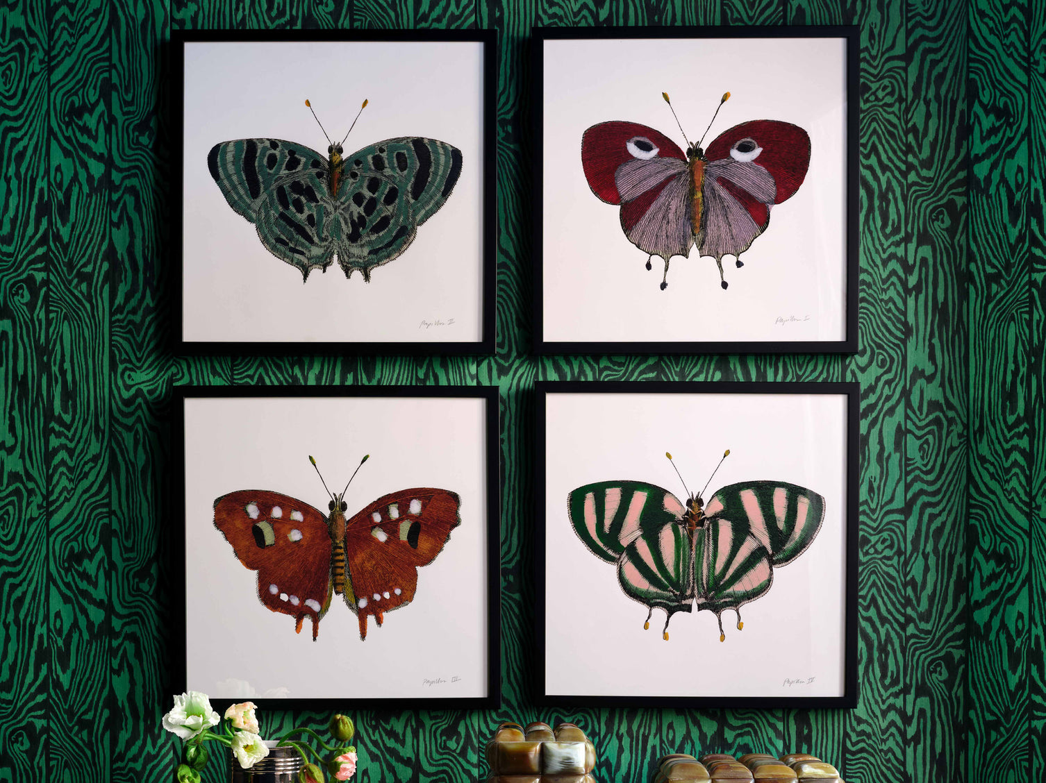 Papillon II