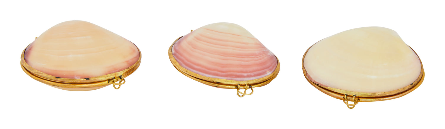 Codaika Shell Stash Box