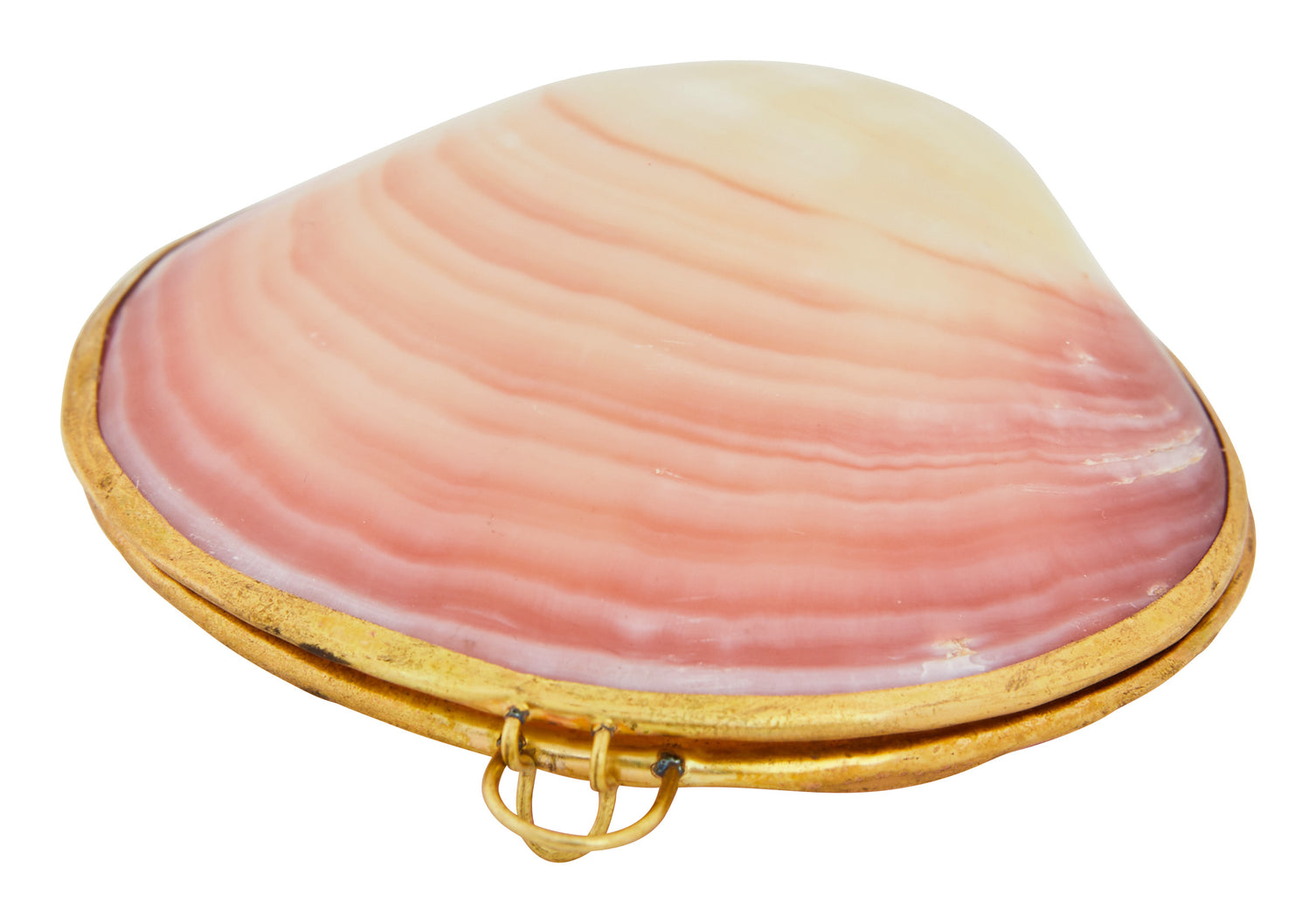 Codaika Shell Stash Box