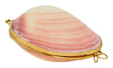 Codaika Shell Stash Box